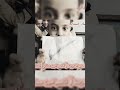 مقتطفات من العام الماضي الأستاذ عماد حمدي اكسبلور التعليم أستاذ اللغة العربية