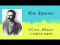 Іван Франко - &quot;Ой ти, дівчино, з горіха зерня&quot; | Вірш | Слухати онлайн