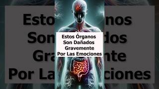 Estos ÓRGANOS son DAÑADOS por las EMOCIONES: ENOJO, MIEDO, IRA ENVIDIA, TRISTEZA, IRA, FURIA, CORAJE