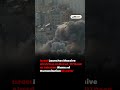 Israel Launches Massive Airstrikes on Beirut | 217 Dead as Lebanon Conflict Escalates