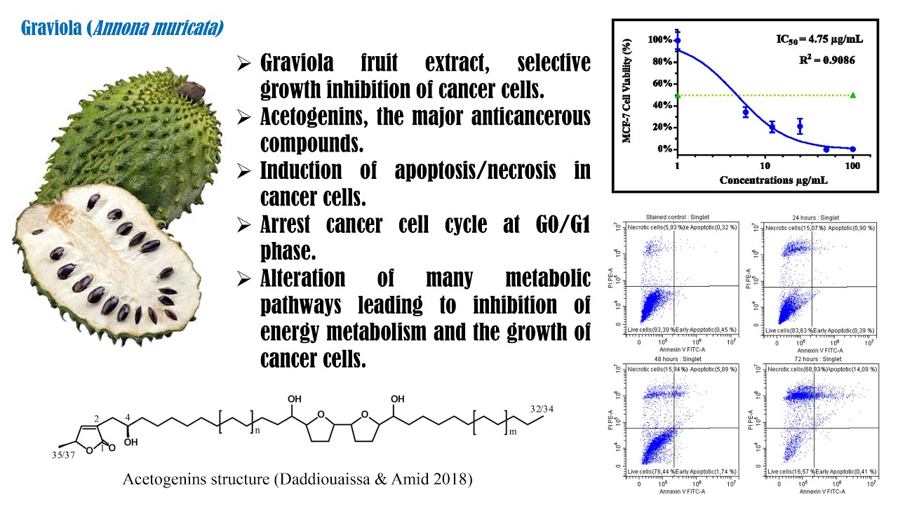 Anticancer activity phd thesis