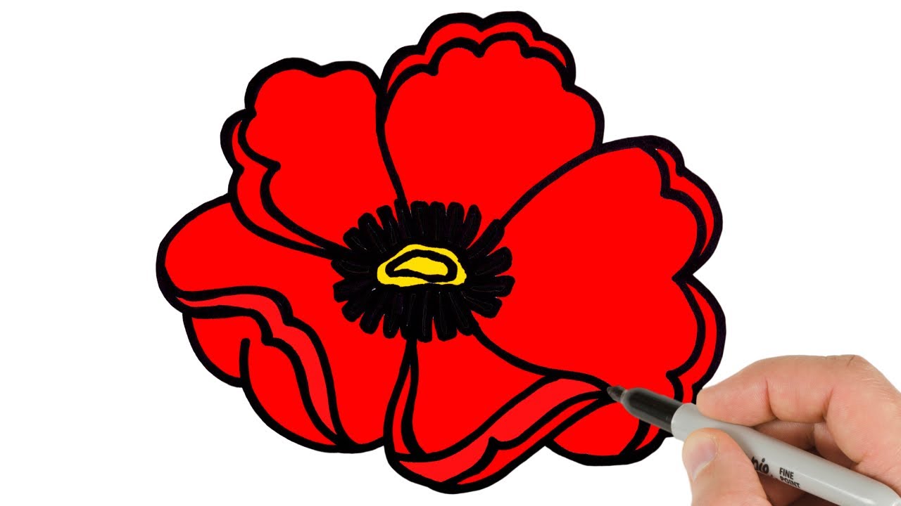 How To Draw A Poppy