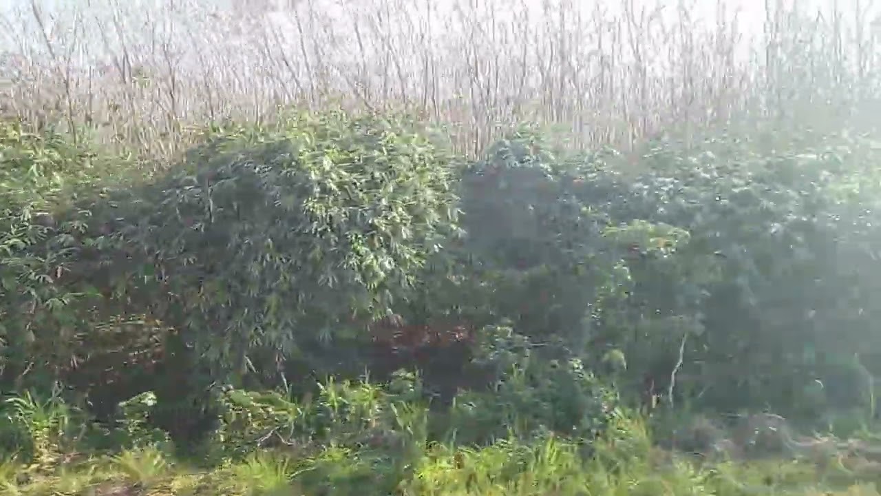 รถไฟออนทัวร์ channel 