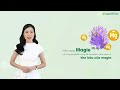 Kiến thức Canxi Magie D