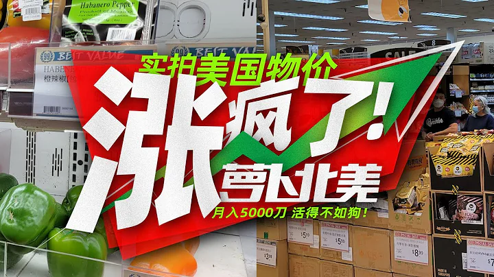 實拍美國物價，月入5000刀，活得不如狗！| 蘿蔔北美 - 天天要聞
