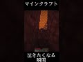 【マイクラ】泣きたくなる瞬間#マイクラ