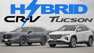 Tucson all the way? 2024 Hyundai Tucson Hybrid vs. 2024 Honda CRV Hybrid. It's an Eco Showdown!
