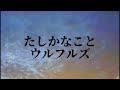 たしかなこと/ウルフルズ