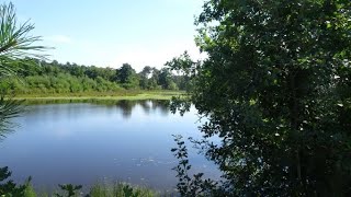 1472 Meerhout B 13,9 Km