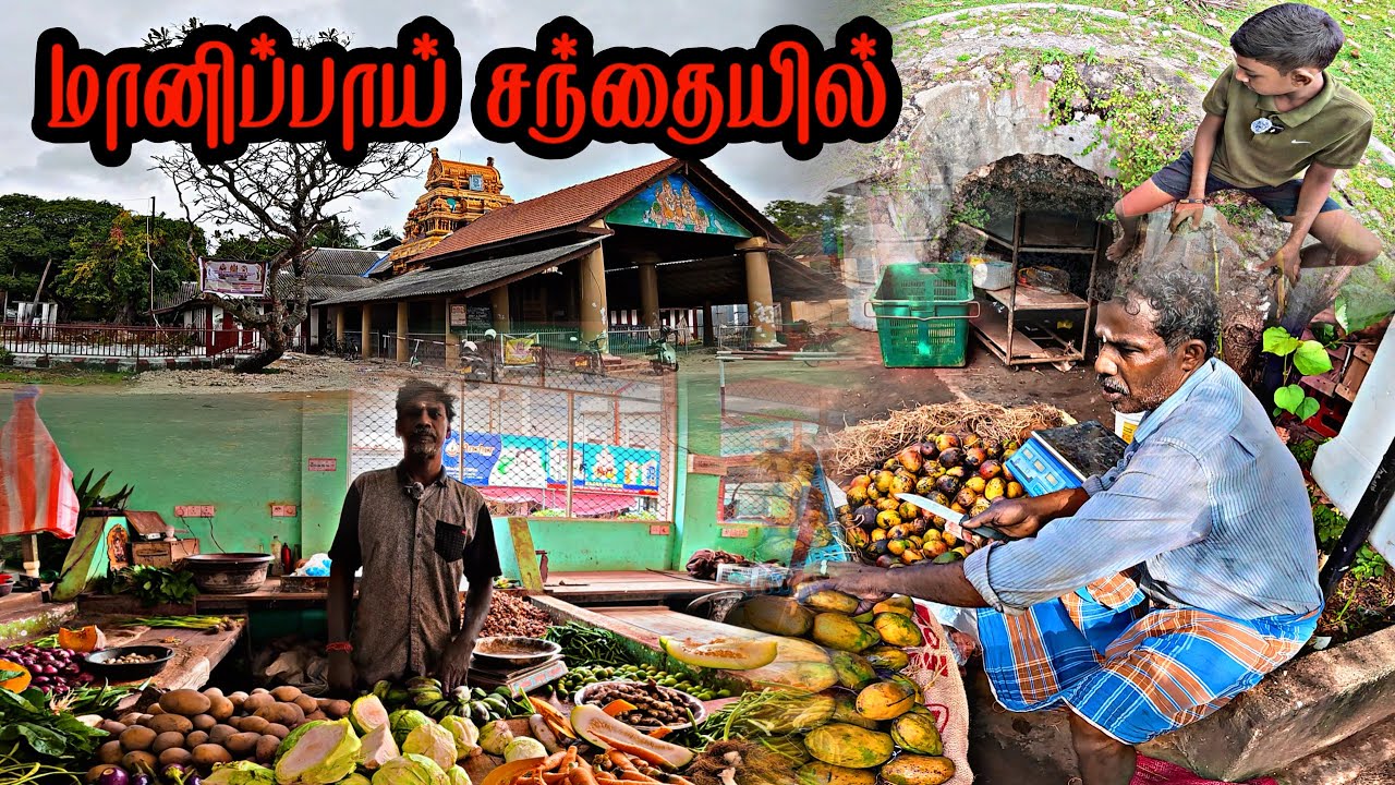 வற்றாப்பளை கண்ணகை வந்த முதல் இடம் இது தான் | ஊரை சுற்றிக்காட்டிய சிறுவர்கள்