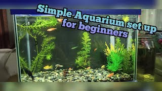 Simple aquarium set up for beginners