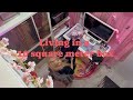 My micro Tokyo apartment tour