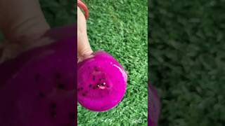 Dragon fruit ice cream|| red dragon fruit|| shorts