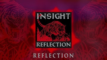 Insight - Reflection (Audio)