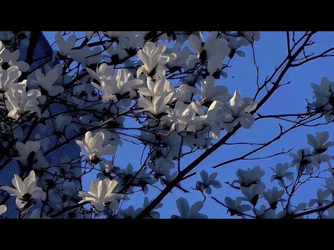 افتارات حلال