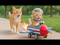 Mama Cat Trims Fur on the Farm and Makes Tiger Hat For Kittens At Home🐾🎩🐯