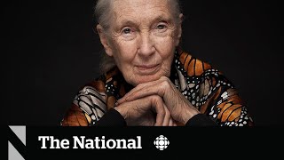 Jane Goodall explains why it’s not too late to save the planet