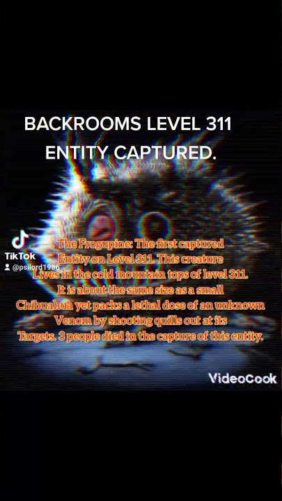 BACKROOM LEVEL 311 ENTITY CAPTURED ALIVE.