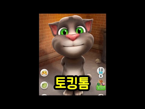 이 고양이를 아십니까?