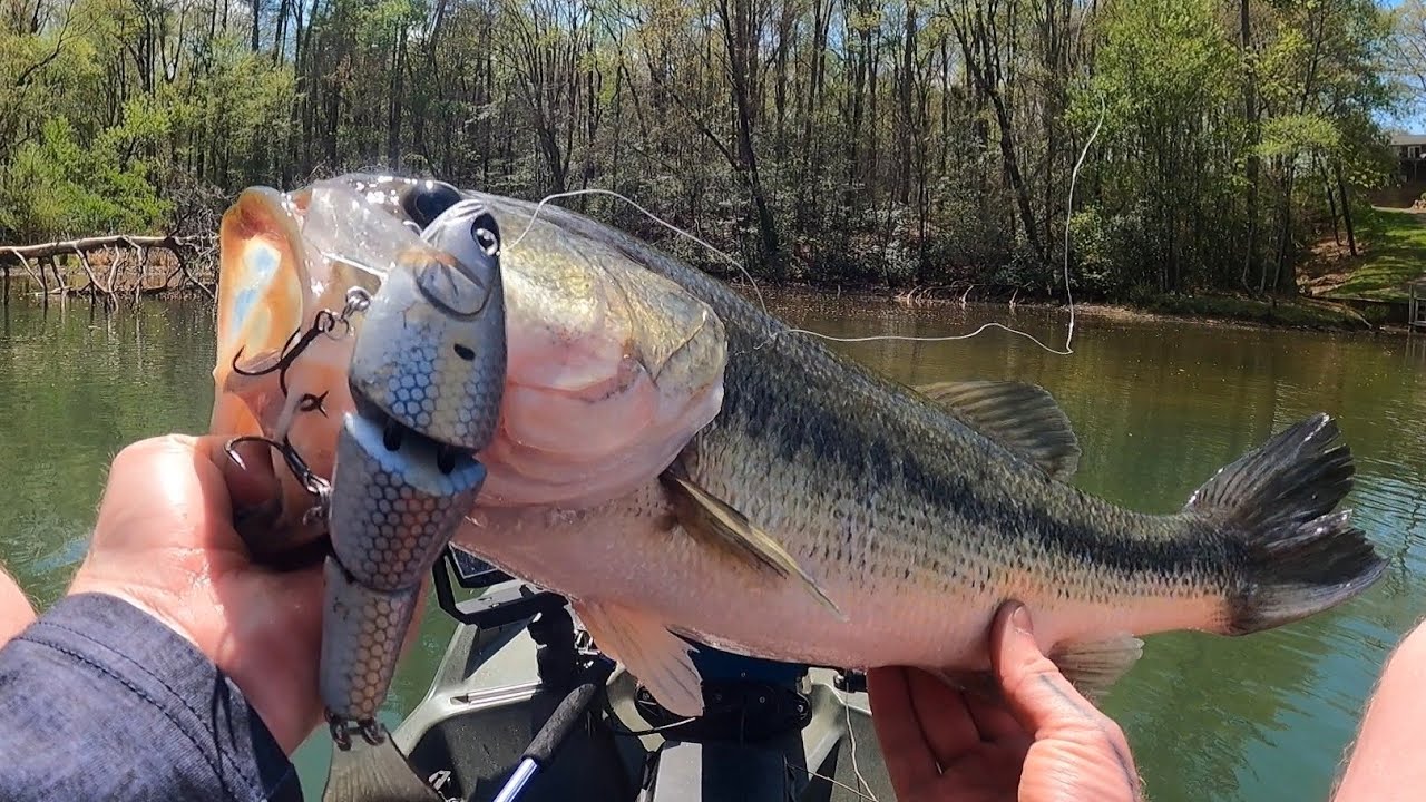 Lake Hickory big bass FKA tournament