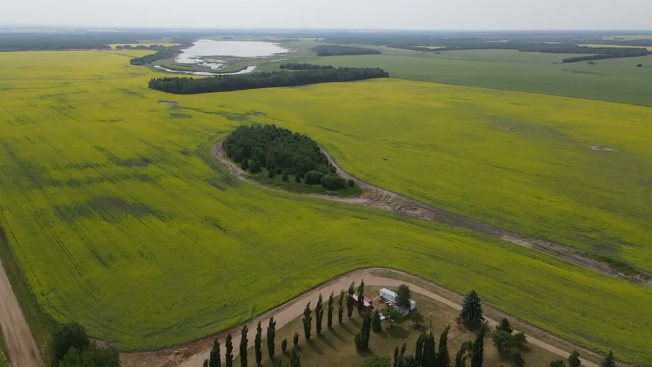 Quando você chega  IA