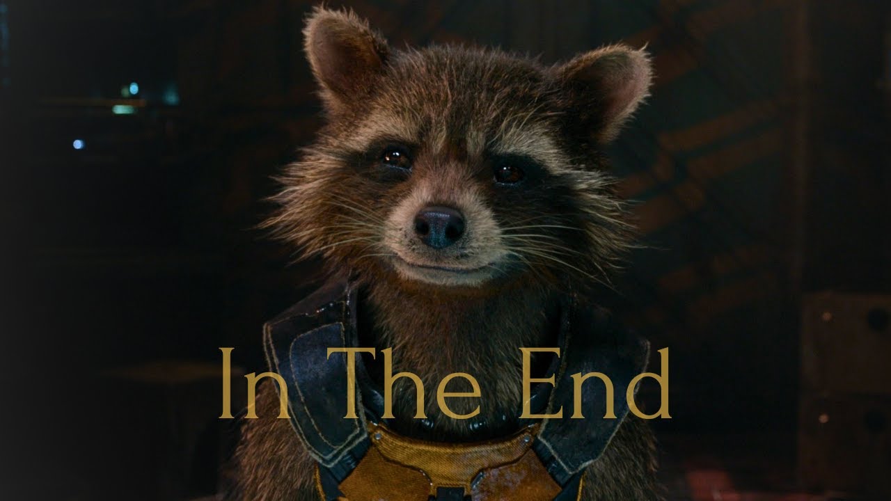 Rocket Racoon | In The End