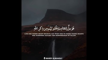 أفمن شرح الله صدره للاسلام - سورة الزمر