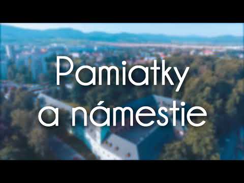 Dubnica video