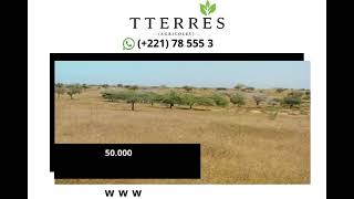Terrain de 5 hectares vers Leona