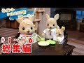 【ｼﾙﾊﾞﾆｱﾌｧﾐﾘｰ】ｾｲﾝﾄｼﾙﾊﾞﾆｱ村ｽﾄｰﾘｰ　＃１～＃６総集編【Sylvanian Families】
