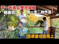 茶室增添新装饰,学校给一珩安排的作业,没想到给茶室增添了灵魂,李俊带着一珩去山里挖到独一无二的绿植,实在太好看了