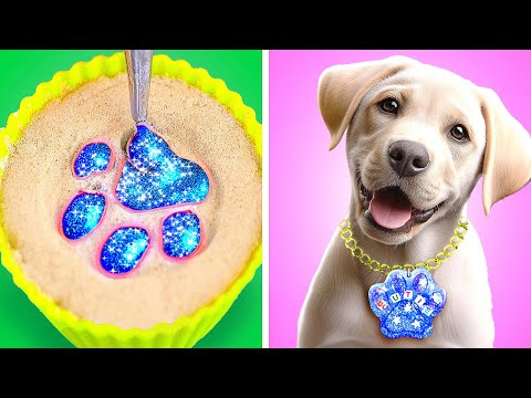 Never Lose Your Dog 🐶 Best Hacks for Pet Owners