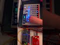 DrumBrute type beat #drumbruteimpact #drummachine #beat #saturation #klon #distortion #overdrive