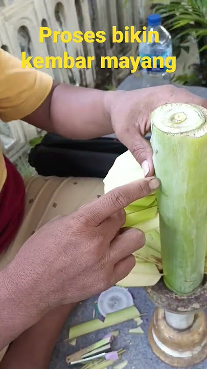 Bikin kembar mayang 2 #shortvideo