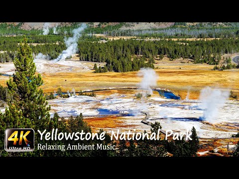 The Yellow Stone National Park in 4K Video - 🎵Relaxing Music 🎵Sleep Music 🎵Meditation Music