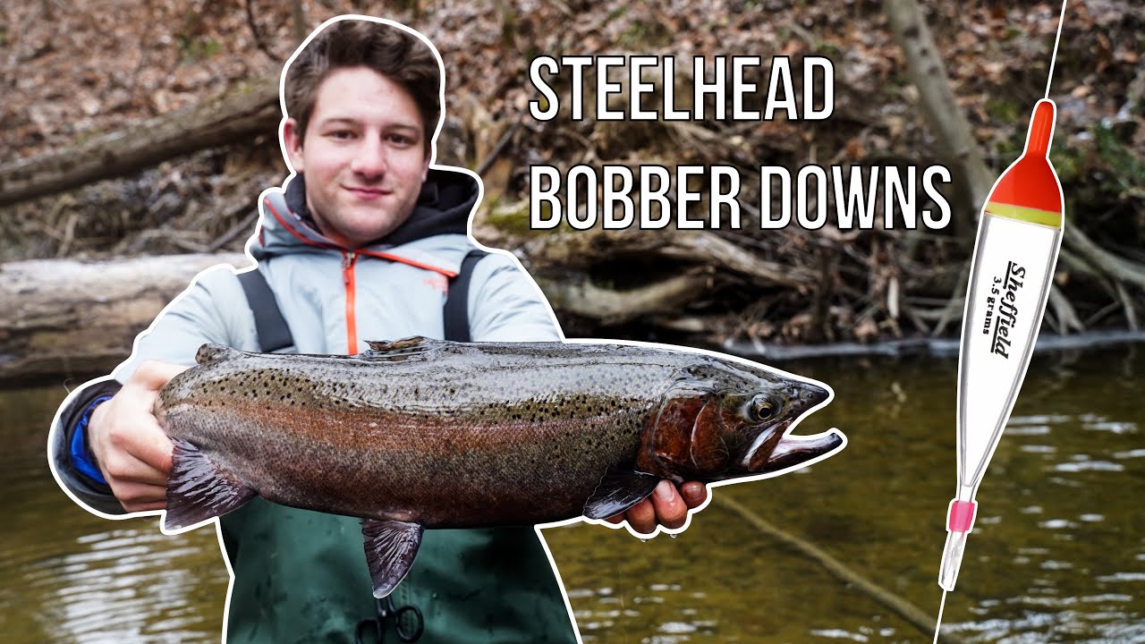 BOBBER DOWNS! Incredible Spring Steelhead Fishing Footage (Erie