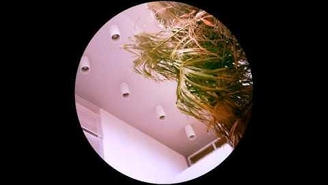 Ensoniq ESQ-M / ESQ-1 (1986) Hybrid Synthesizer Part 2