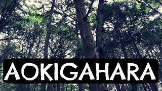 aokigahara padurea sinucigasilor