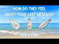 How Do They Feel About Your Last Message Pick A Card Reading Timeless Tarot Reading 