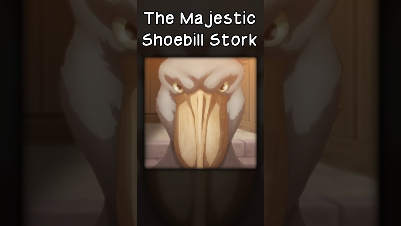 Look at how majestic this bird is! 