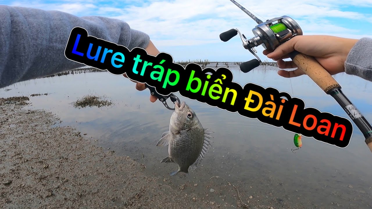 Lure cá tráp biển Đài Loan