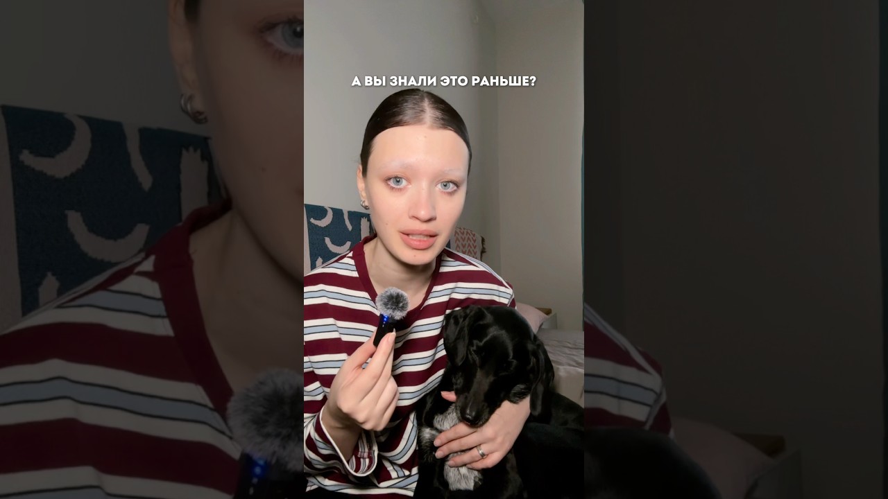 Собачники, знали? Артикул на зубной гель 