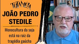 Desmonte ambiental feito por Leite, monocultura da soja e especulação são causas da tragédia no RS