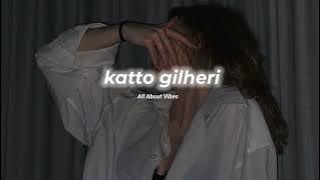 Katto gilheri chhamak chhalo Rani / Slowed & Reverb / All About Vibes