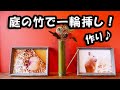 庭の竹で 「一輪挿し」 を作ってみた！ （着る → 切る）