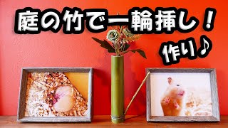 庭の竹で 「一輪挿し」 を作ってみた！ （着る → 切る）