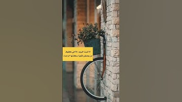 (سورة النور ) #المصحف #القران #القران_الكريم #لايك #اكسبلور