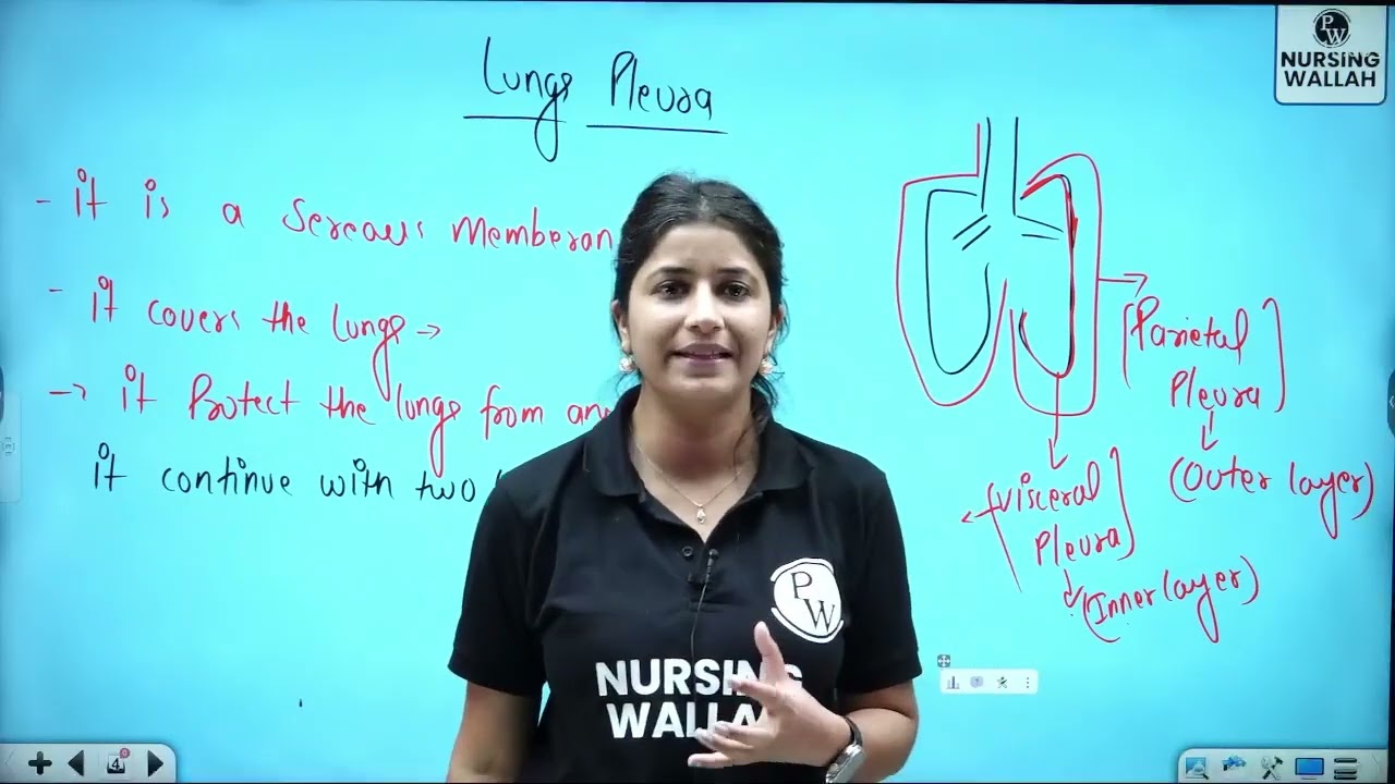 5   Respiratory System 05 Anatomy and Physiology of Respiratory System