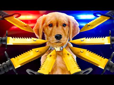 My PUPPY Was Kidnapped…