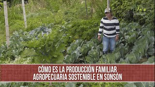 What is sustainable family farming in Sonson? - TvAgro by Juan Gonzalo Angel
